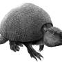 glyptodon-24.jpg