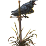 raven.png